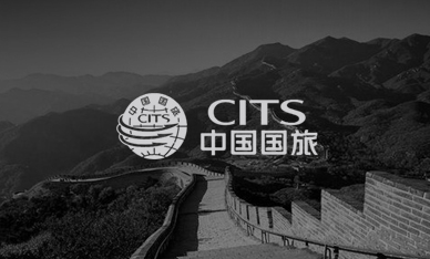 项目案例-中国国旅