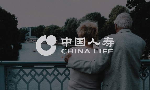 项目案例-中国人寿