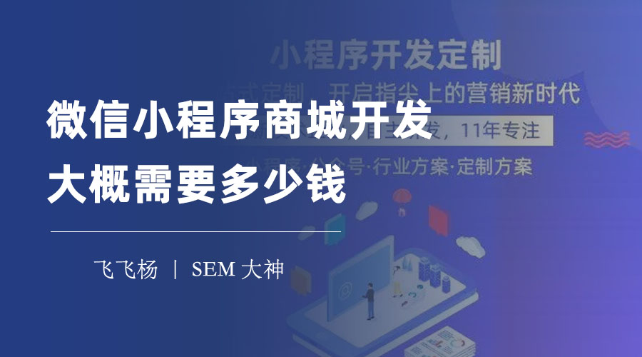 微信小程序商城开发大概需要多少钱 - 不仅要看价格，还要看这些要点！