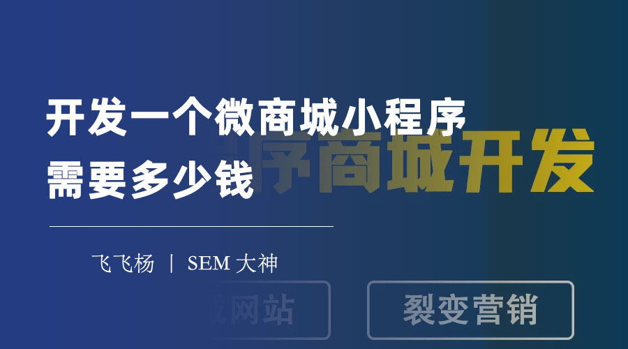 开发一个微商城小程序需要多少钱 - 模板小程序和定制开发，哪个更适合你？