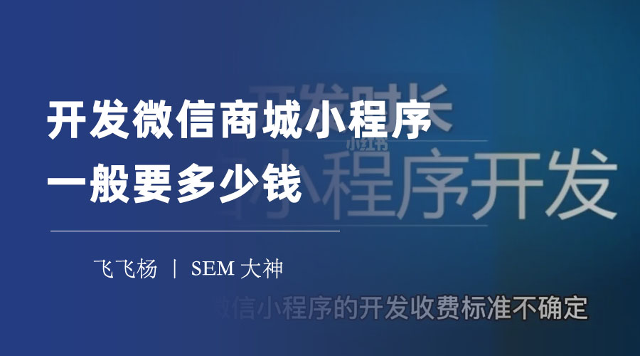 开发微信小程序商城一般要多少钱 - 选择合适的制作方式，省钱又省心