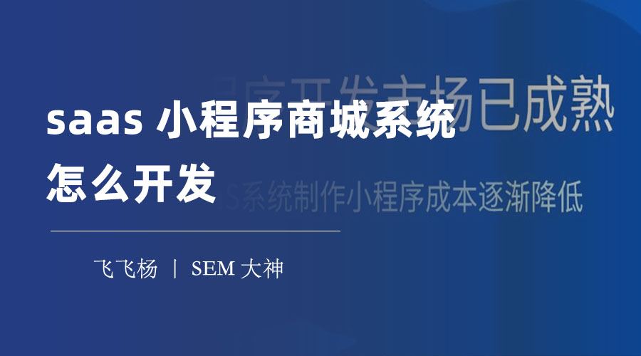 saas小程序商城系统怎么开发 - 一站式解决方案