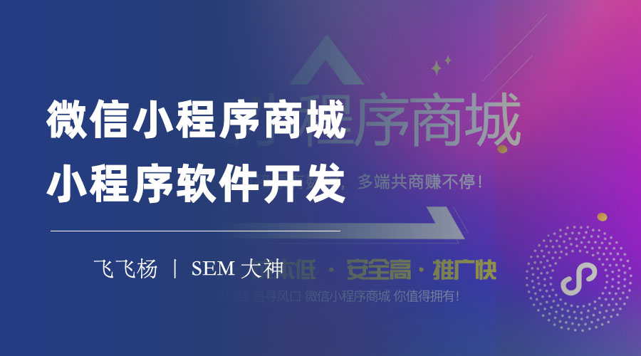 微信小程序商城小程序软件开发 - 微信小程序商城的优势和开发流程详解