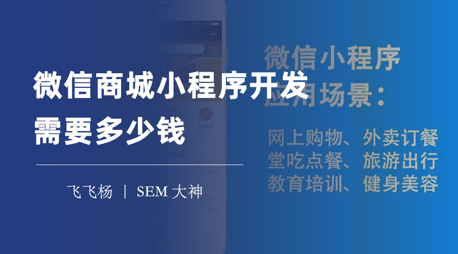 微信商城小程序开发需要多少钱 - 自己开发、购买系统还是定制开发，哪种方式更划算？