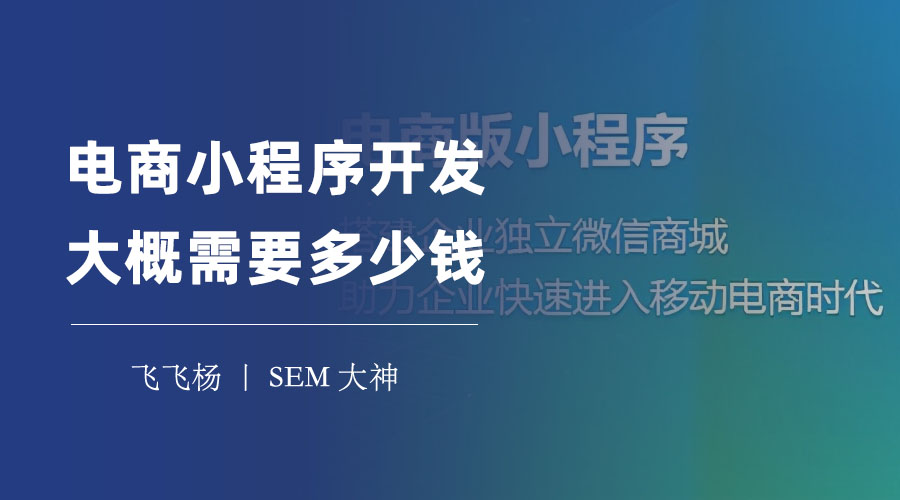 电商小程序制作一个需要多少钱？三种开发方式的优缺点和费用对比！