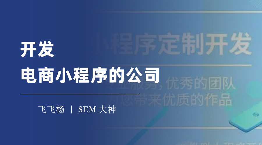 开发电商小程序的公司：小编为你推荐两家专业的电商小程序开发公司！