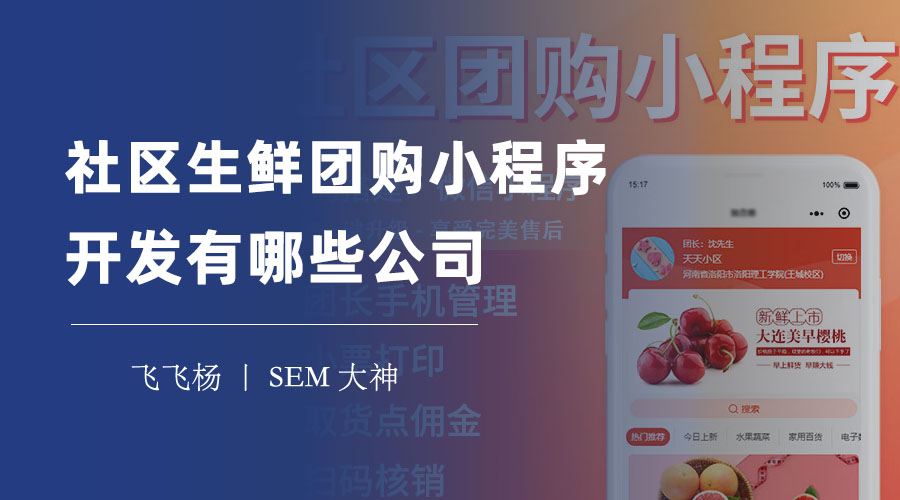 社区生鲜团购小程序开发有哪些公司？选择专业的开发公司，让你的小程序更高效、稳定、安全