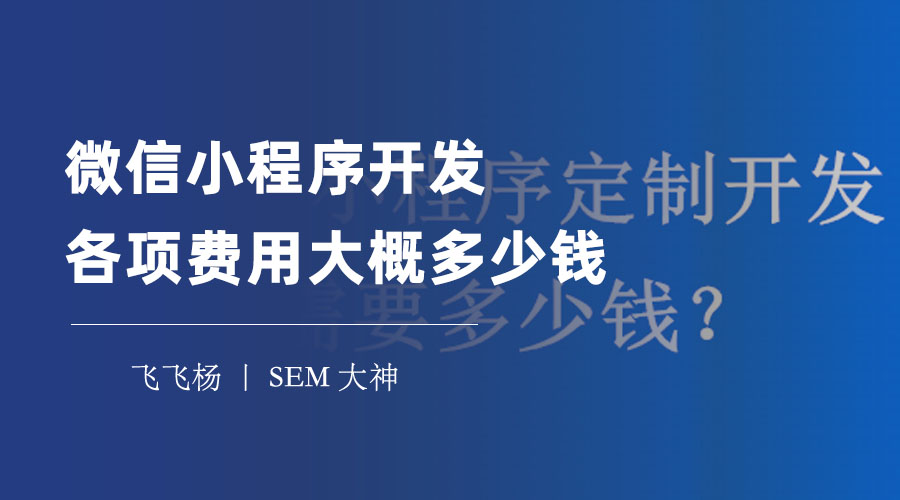 微信小程序开发各项费用大概多少钱：不同开发方式的费用对比和优缺点分析