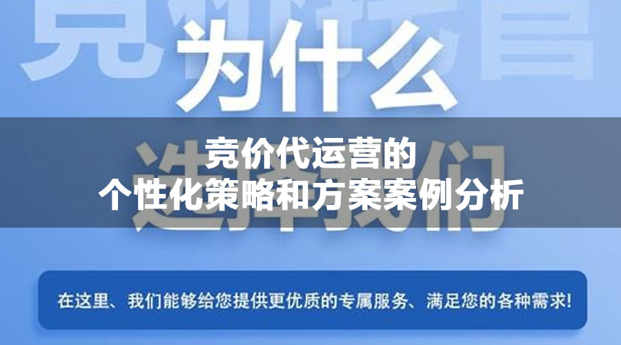 竞价代运营的个性化策略和方案案例分析