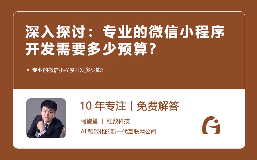 深入探讨：专业的微信小程序开发需要多少预算？