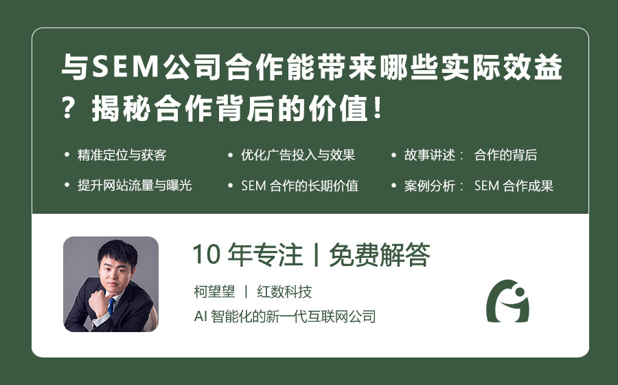 与SEM公司合作能带来哪些实际效益？揭秘合作背后的价值！