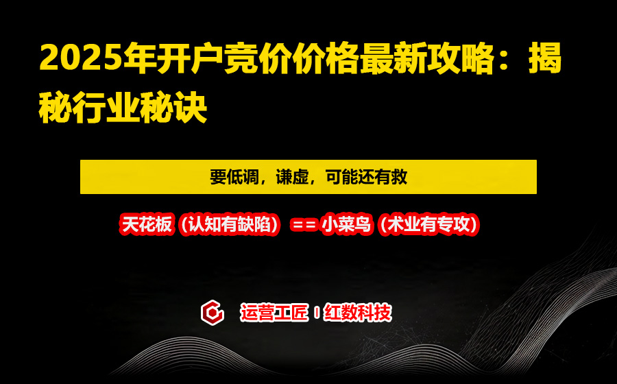 2025年开户竞价价格最新攻略：揭秘行业秘诀